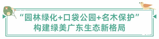 稳妥促进都会园林绿化助力绿美广东生态作战完美体育官网(图2)