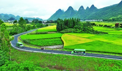 完美体育官网茶文明景观申遗进程