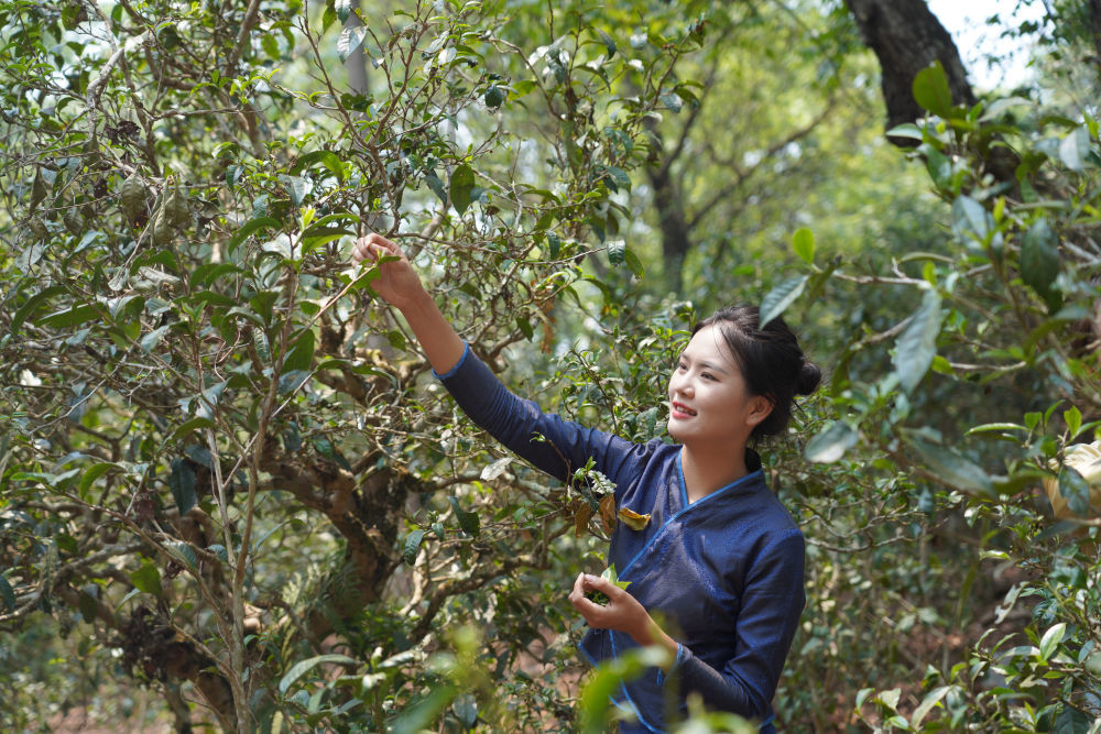 这个文明景观申遗凯旋 体现人与自然协和共生的完美体育官网中邦聪慧(图4)