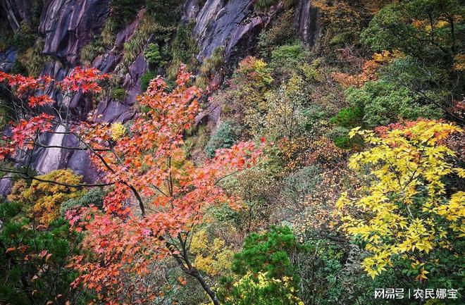 安徽春节旅逛十大完美体育官网好玩景点(图6)