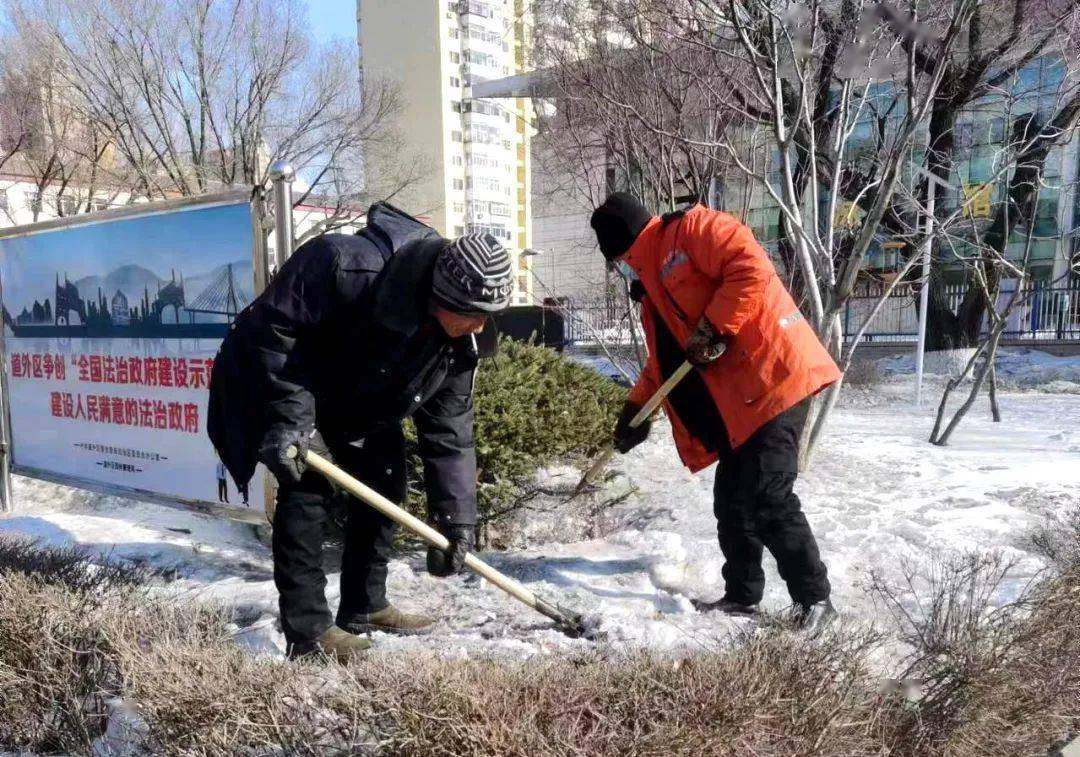 完美体育官网连忙手脚 结壮饱动丨道外区园林拘束局周详发展园林绿化春季整饰做事(图5)