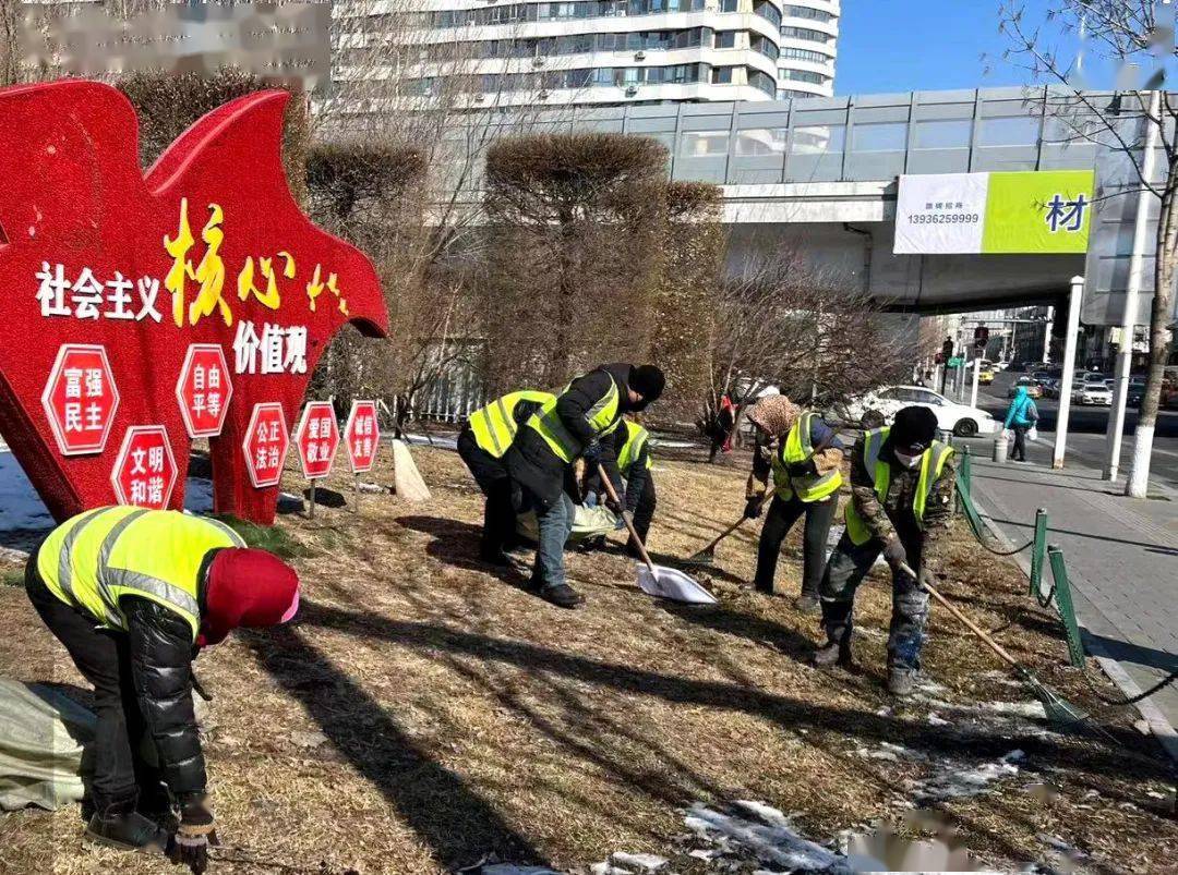 完美体育官网连忙手脚 结壮饱动丨道外区园林拘束局周详发展园林绿化春季整饰做事(图3)