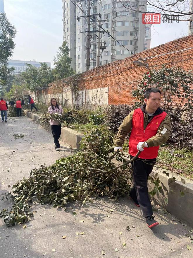 清枝护绿添“花漾”！武汉完美体育官网市园林绿化修管站为社区擢升绿的“饱和度”(图1)