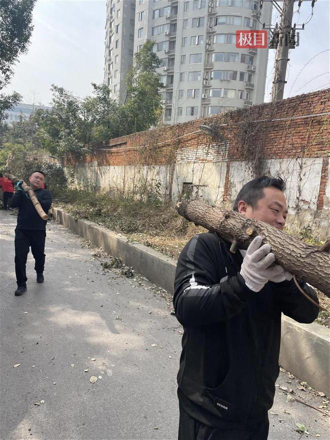 清枝护绿添“花漾”！武汉完美体育官网市园林绿化修管站为社区擢升绿的“饱和度”(图2)