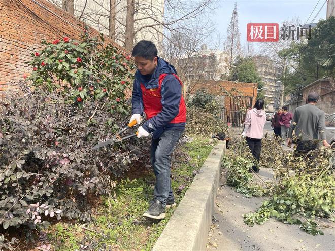 清枝护绿添“花漾”！武汉完美体育官网市园林绿化修管站为社区擢升绿的“饱和度”(图4)