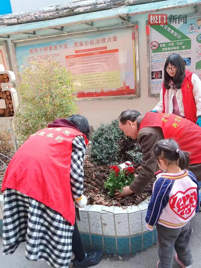 清枝护绿添“花漾”！武汉完美体育官网市园林绿化修管站为社区擢升绿的“饱和度”(图5)