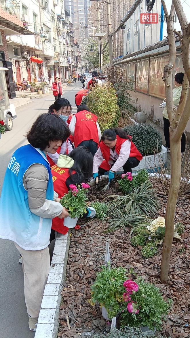 清枝护绿添“花漾”！武汉完美体育官网市园林绿化修管站为社区擢升绿的“饱和度”(图6)