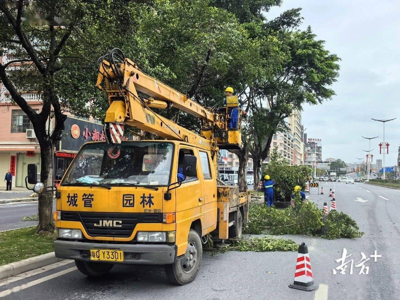 增植绿化约2900株完美体育官网阳春晋升都邑绿化品德(图2)