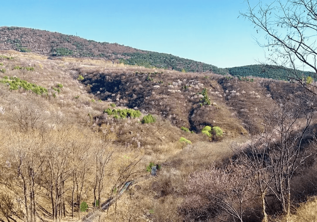 完美体育官网饱览西山风景！石景山这处绿道开发加疾(图3)