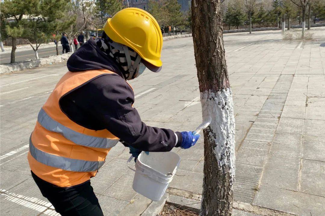 不负春季好年光 园完美体育官网林绿化养护忙(图3)