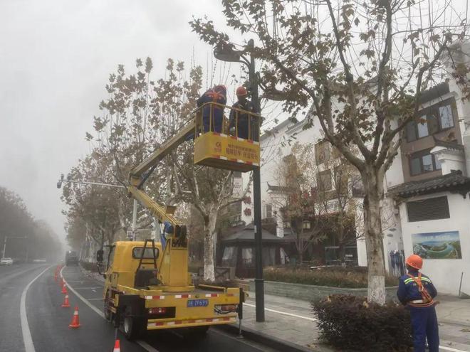 完美体育官网丽水市区主城区行道树修剪策动揭橥 打制整洁有序的街道景观(图1)