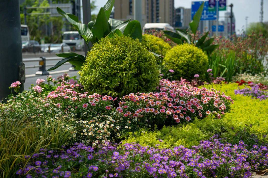 完美体育官网都邑景观上新！一起繁花一起景→(图2)