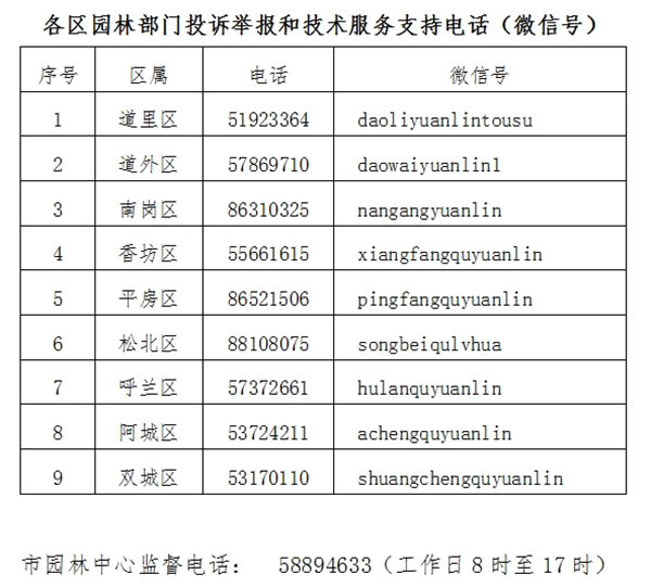 完美体育官网举报砍树最高外彰1万元！哈尔滨市众部分联动整饬损害绿化作为(图1)